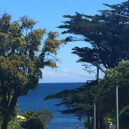 Le Ciel Bleu - Vue Mer, Toute A Pied Et Commerce * Fréjus